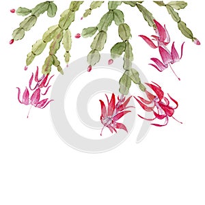 Schlumberger cactus vector composition