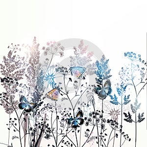 Beautiful vector field flowers illustration with plants, florals and butterflies photo