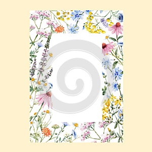 Beautiful vector floral frame with watercolor hand drawn summer wild field flowers. Stock illustration. Clip art.