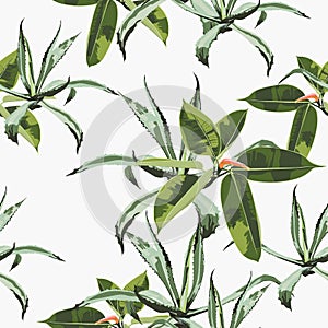 Beautiful vector floral seamless pattern background with agave and ficus.