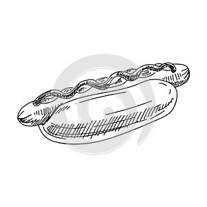 Vector hand drawn hotdog Illustration