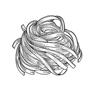 Beautiful vector hand drawn pasta Illustration.