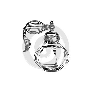 Beautiful vector hand drawn vintage perfume bottle Illustration.