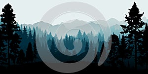 A beautiful vector illustration of a misty forest landscape with coniferous trees in silhouette. The evergreen trees, mountains,