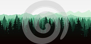 A beautiful vector illustration of a misty forest landscape with coniferous trees in silhouette. The evergreen trees, mountains,