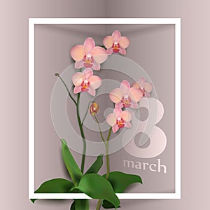 Beautiful vector illustration on a theme 8 March, International Women`s Day, spring, flowers