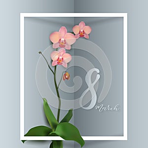 Beautiful vector illustration on a theme 8 March, International Women`s Day, spring, flowers
