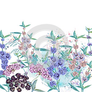 Beautiful vector illustration with wild spring flowers in watercolor style