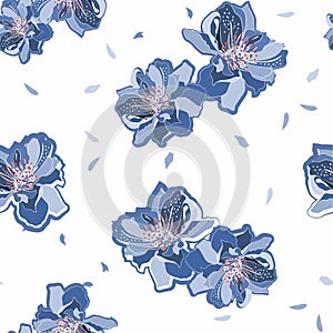 Beautiful Vector of oriental pattern with sakura flowers. Seamless oriental texture with isolated hand drawn cherry blossom
