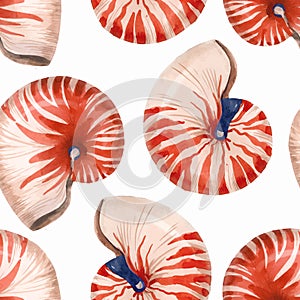 Watercolor sea life nautilus shell vector pattern