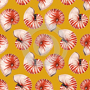 Watercolor sea life nautilus shell vector pattern