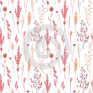 Beautiful vector seamless pattern with watercolor herbarium wild dried grass in pink and yellow colors. Stock