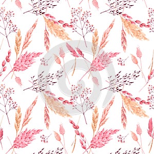 Beautiful vector seamless pattern with watercolor herbarium wild dried grass in pink and yellow colors. Stock