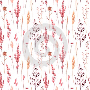 Beautiful vector seamless pattern with watercolor herbarium wild dried grass in pink and yellow colors. Stock photo