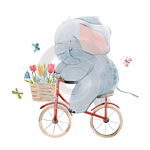 Beautiful vector stock illustration with cute watercolor baby elephant on bike. Animal with bicycle hand drawn painting.