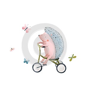 Beautiful vector stock illustration with cute watercolor hedgehog on bike. Baby animal with bicycle hand drawn painting.