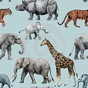 Beautiful vector stock seamless pattern with cute hand drawn safari giraffe elephant tiger monkey rhinoanimal pencil