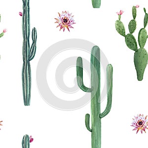 Beautiful vector watercolor cactus seamless pattern. Hand drawn stock illustrations. White background.