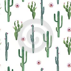 Beautiful vector watercolor cactus seamless pattern. Hand drawn stock illustrations. White background.