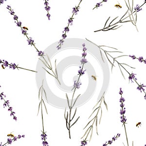 Beautiful vector watercolor floral seamless pattern with lavanda flowers. Stock illustration.