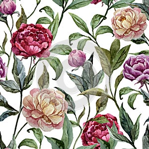 Beautiful vector watercolor pattern with peonies