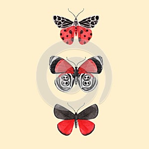 Beautiful vector watercolor three red butterfly set. Colorful summer insects. Hand drawn clip art. Beauty of nature