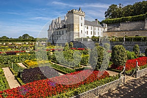 Beautiful vegetable garden with chateau Villandry on the background, Loire region, France.