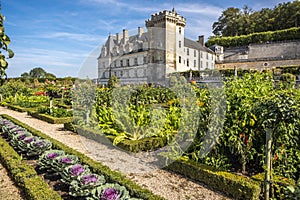 Beautiful vegetable garden with chateau Villandry on the background, Loire region, France.