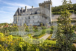 Beautiful vegetable garden with chateau Villandry on the background, Loire region, France.