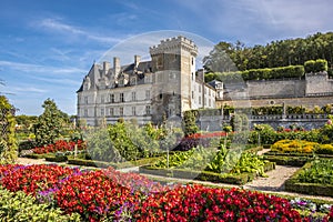 Beautiful vegetable garden with chateau Villandry on the background, Loire region, France.