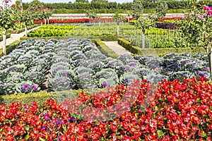 Beautiful vegetable garden of chateau Villandry, Loire region, France.