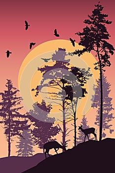 Beautiful vertical landscape. Silhouette of forest and deers on background of sun and flying birds. Realistic fir trees and pines