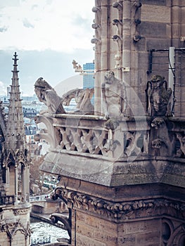 Beautiful vertical shot of the gargoyles on top of the Notre Dame Cathedral