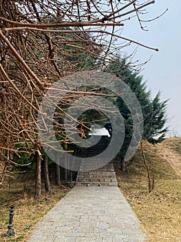 Beautiful vertical of stone stairs with trees leading to the top of hill