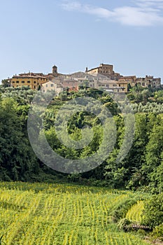 Beautiful vertical view of the picturesque Tuscan village of Lari, Pisa, Italy, with a field of sunflowers below