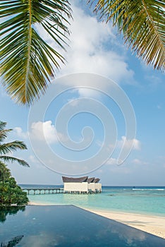 Beautiful vertical view of tropical beach with infinity swimming pool and palm trees at island luxury resort