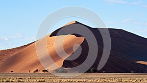 Namib Desert Dune