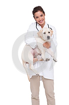 Beautiful veterinarian with a cute dog in her arms