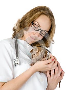 Beautiful veterinarian with puppy sharpei dog