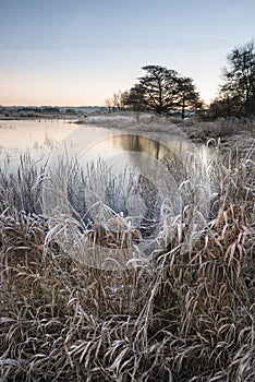 Beautiful vibrant English countryside lake image with frost and