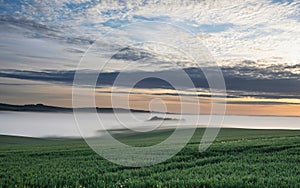 Beautiful vibrant landscape image of sea of fog rolling across South Downs English countryside during Spring sunrise