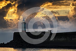 Beautiful vibrant sunrise sky over calm water ocean with lighthouse and harbor wall