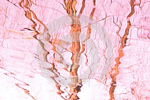 Beautiful vibrating reflections in the pink water, thin serpentine lines of tree trunks, abstract winding lines sway, shimmer,