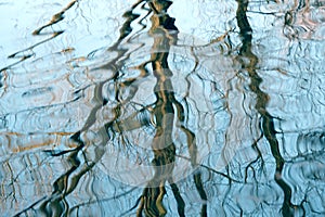 Beautiful vibrating reflections in the water, thin serpentine lines of tree trunks, abstract winding lines sway, shimmer, glare,