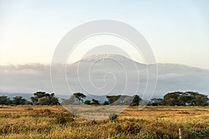 beautiful view of the African savanna and Kilimanjaro volcano. Snow on top of Mount Kilimanjaro in Amboseli