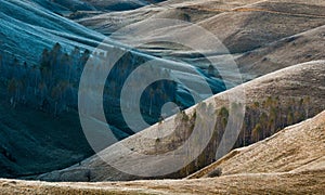 Beautiful view of aligned trees on slide rocky hills