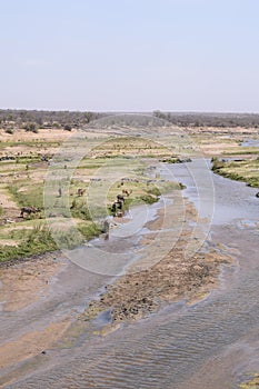 Beautiful view and animals in Kruger Southafrica