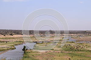 Beautiful view and animals in Kruger Southafrica