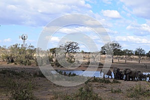 Beautiful view and animals in Kruger Southafrica