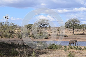 Beautiful view and animals in Kruger Southafrica